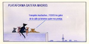 Entrevista con los defensores de los gatos de Madrid