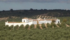 El gobierno del cortijo