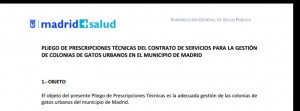 Las colonias felinas de Madrid salen a concurso por 870.342,38 €