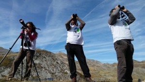 Más de 15.000 personas participan cada año en los proyectos de voluntariado de SEO/BirdLife