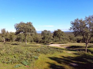 Los espacios naturales de Sanse