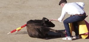 Sanse Antitaurino celebra que las peñas reconozcan que las banderillas "provocan sufrimiento y maltrato animal"