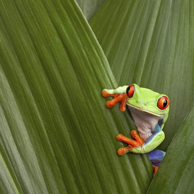 Vueltas de un confinado para cambiar de vida (5)