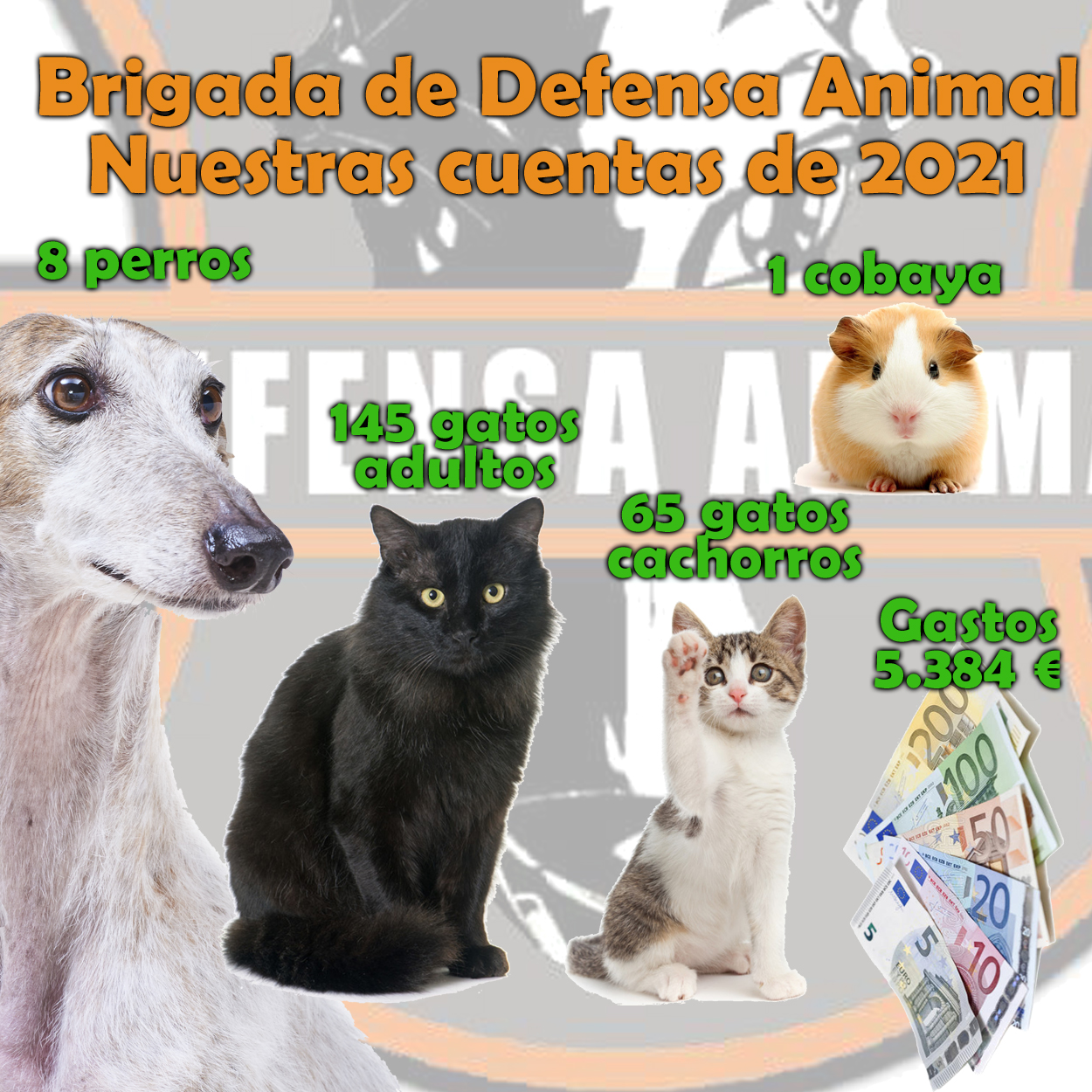 Brigada de Defensa Animal