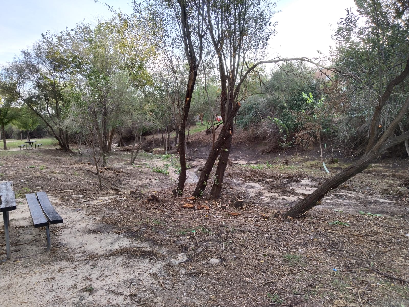 Devastador incendio en el Parque de los Arroyos de Sanse