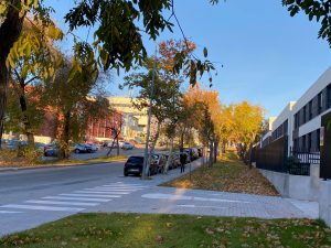 El Ayuntamiento de Sanse asume el mantenimiento de algunas zonas verdes de Rosa Luxemburgo y el Polígono Industrial Sur