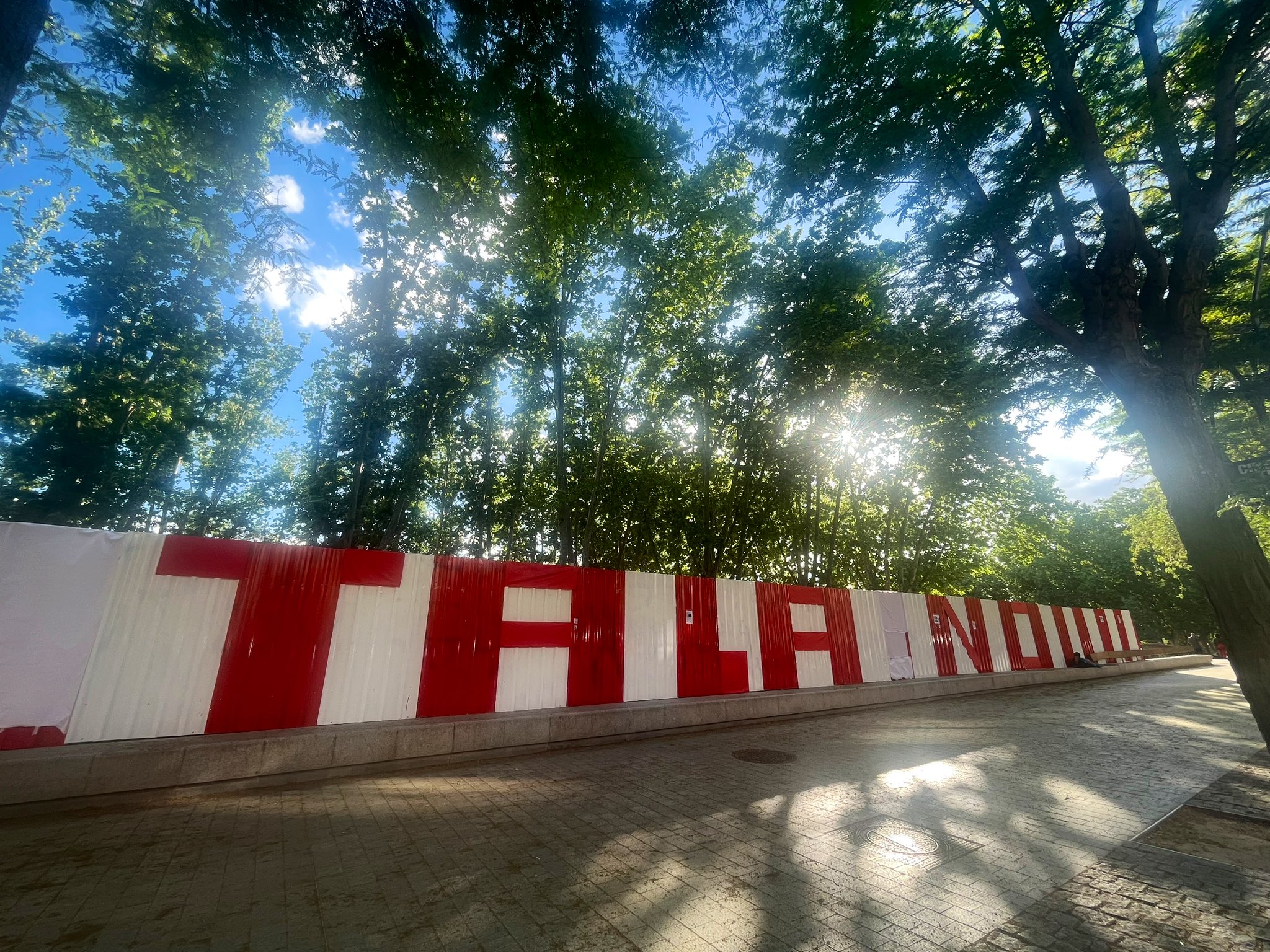 Más Madrid Sanse muestra su preocupación por la protección municipal del arbolado