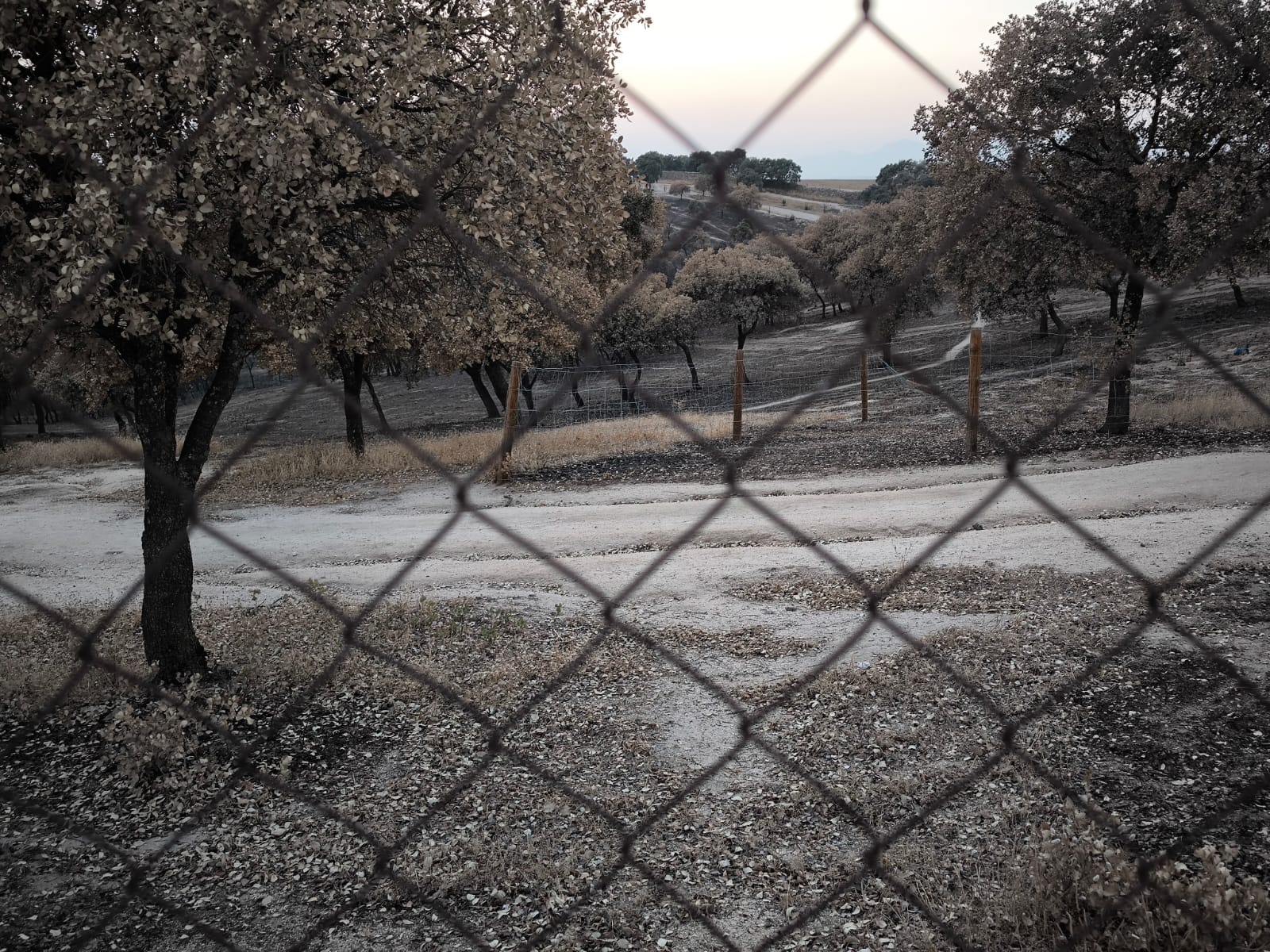 La Fiscalía investigará el incendio en la Dehesa Boyal de San Sebastián de los Reyes