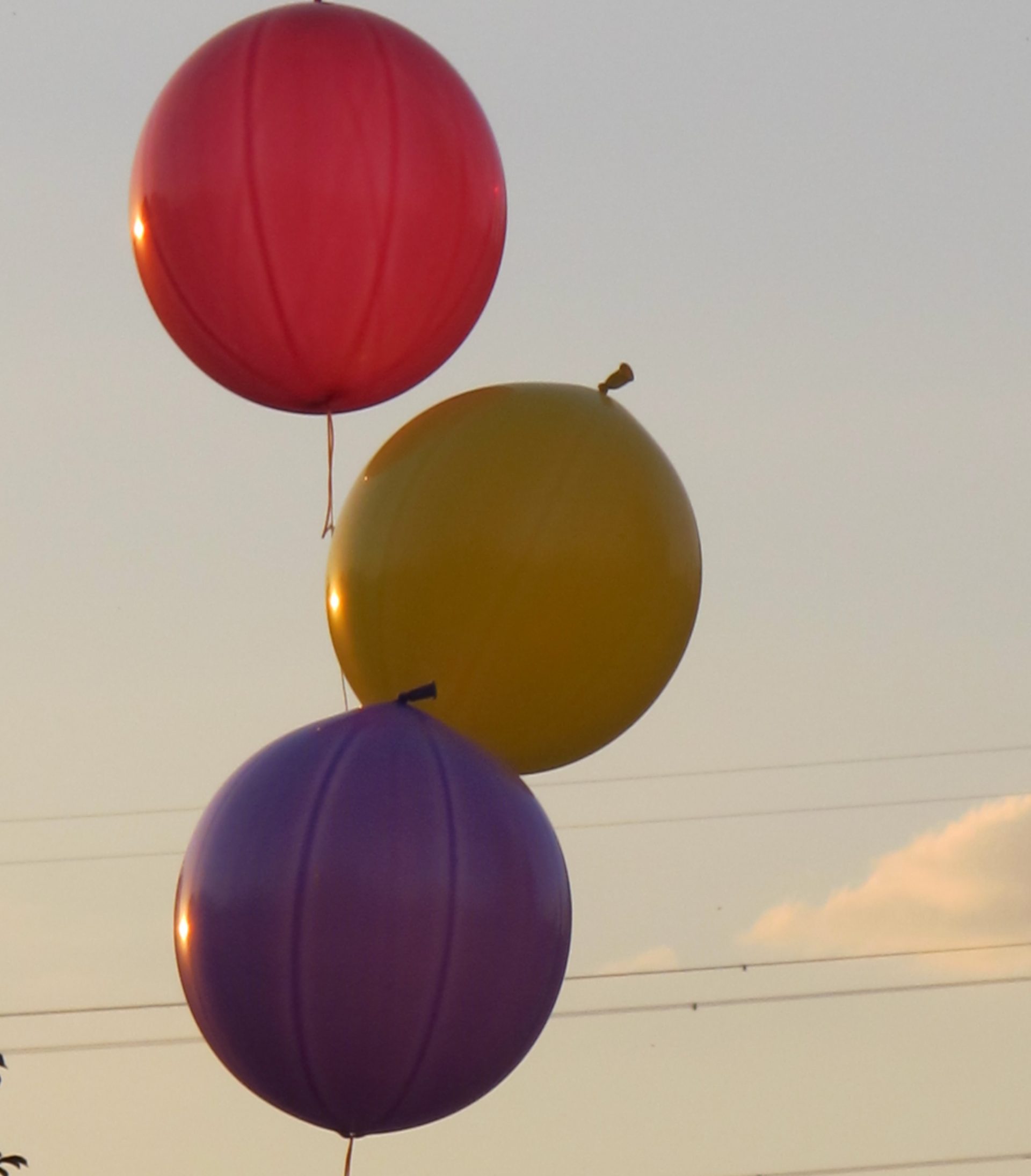 XV Jornada Gastronómica del Ateneo Republicano de Sanse