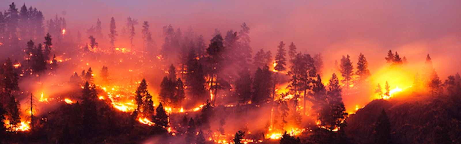 Las Danas incendiarias en España