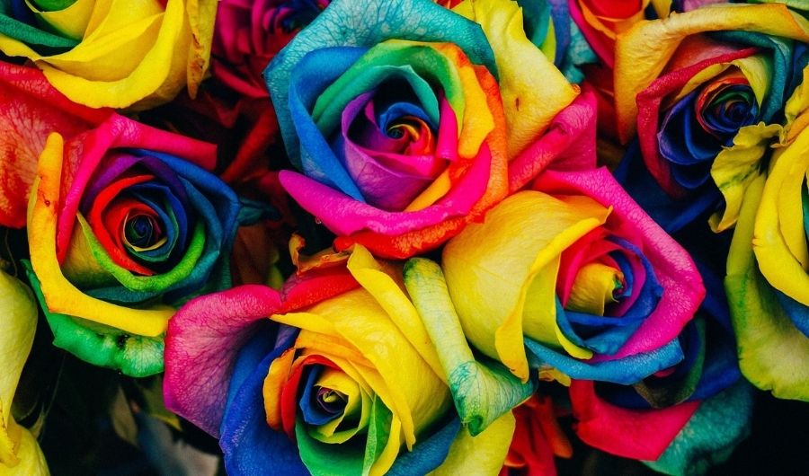LGTBIQ