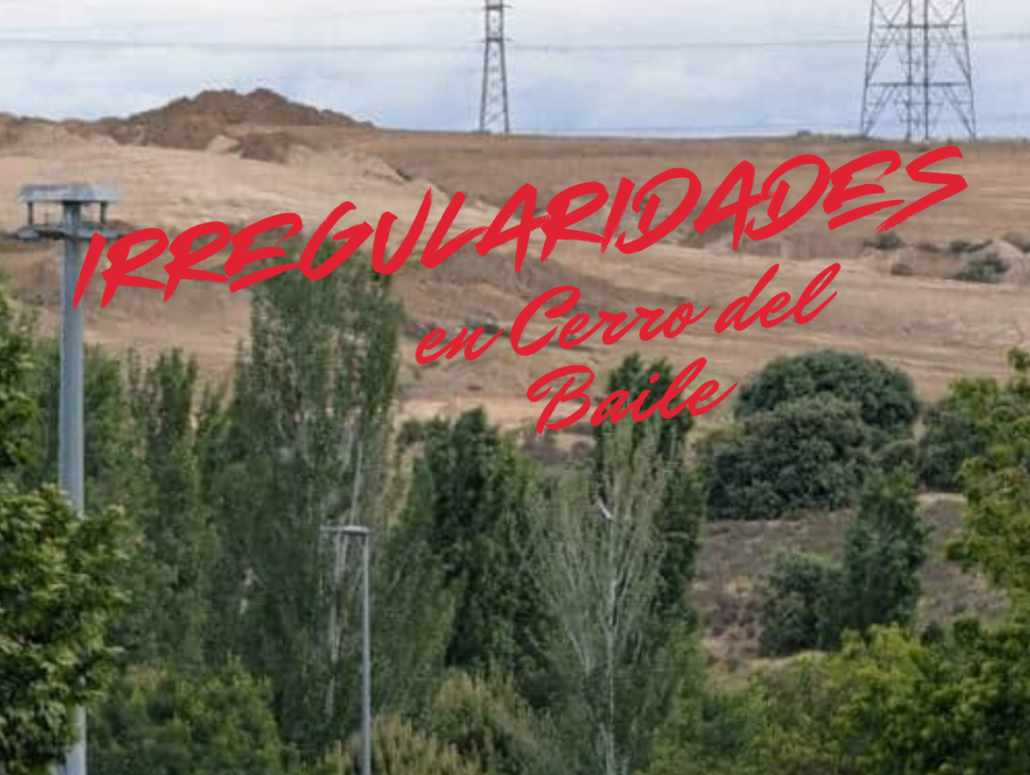 ii irregularidades